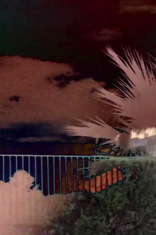 Defies All Time & Logic (2017) poster