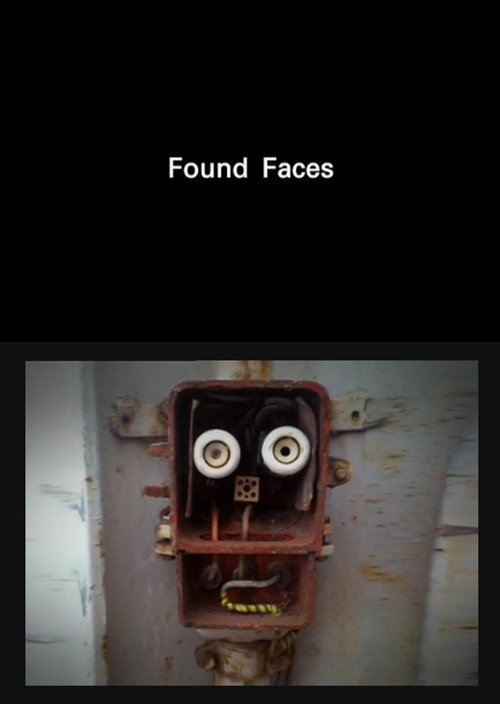 Found Faces (2012) poster