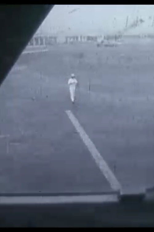 Contre un Ex-Créateur Devenu Porc (1984) poster