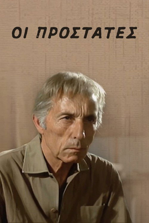 The Protectors (1973) poster