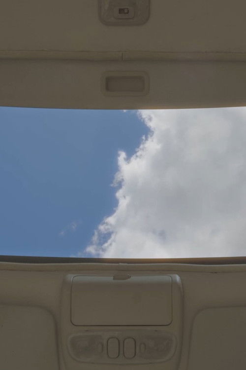 Moonroof poster