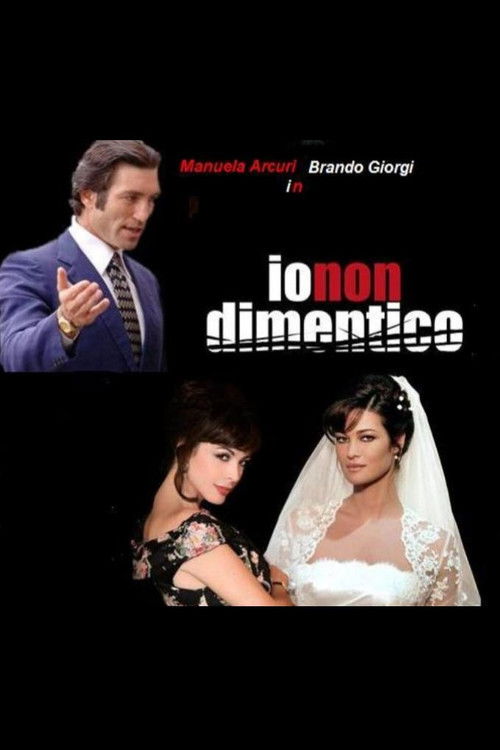 Io non dimentico (2008) poster