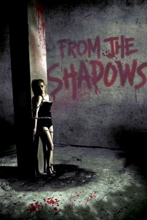 From the Shadows (2009) poster