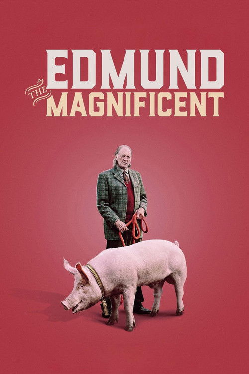 Edmund the Magnificent (2017) poster