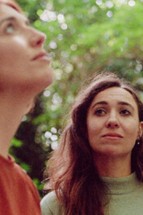 What Do You Want? (2024) poster