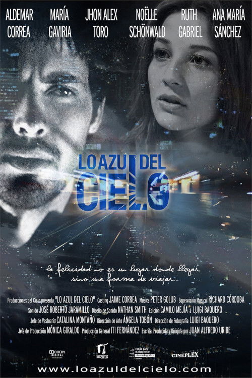 Lo azul del cielo (2013) poster
