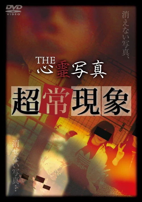 The Spirit Photography: Paranormal Phenomenon (2011) poster