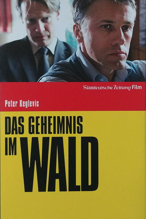 Das Geheimnis im Wald (2008) poster