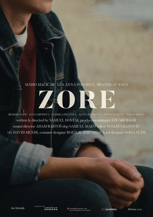 Zore (2025) poster