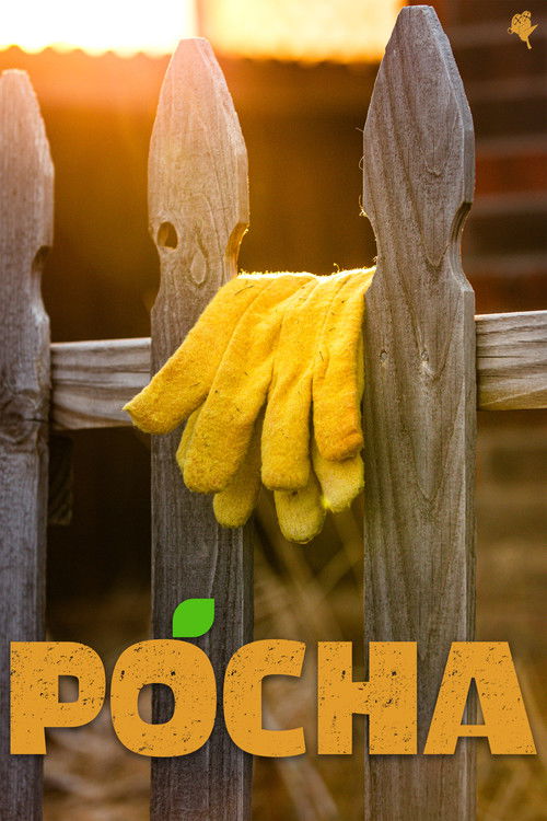 Pocha (2025) poster