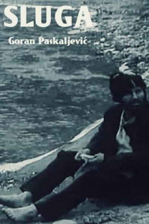 The Servant (1973) poster