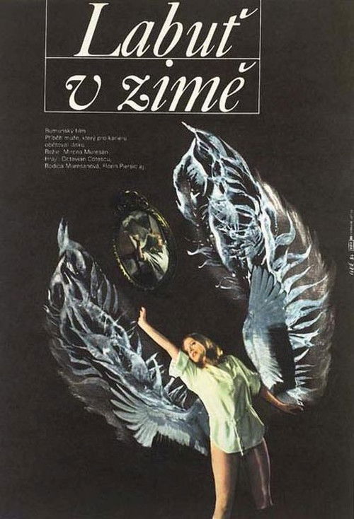 A Swan in Winter (1983) poster