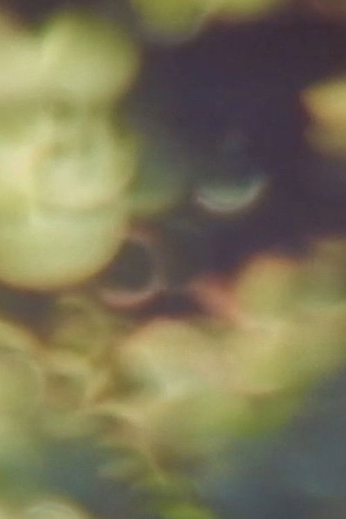 Refractions in Green (2025) poster