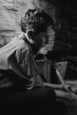 The Welfare of Tomás Ó Hallissy (2017) poster