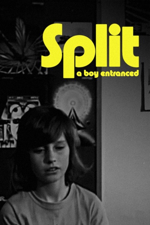 Split (1974) poster
