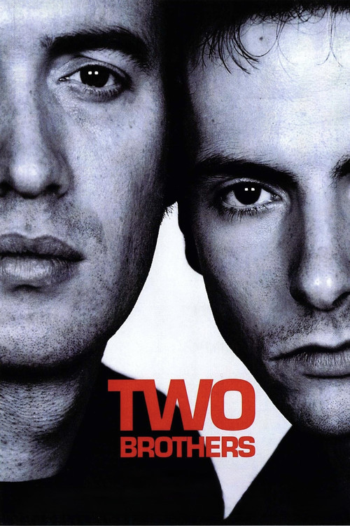 Two Brothers (2001) poster