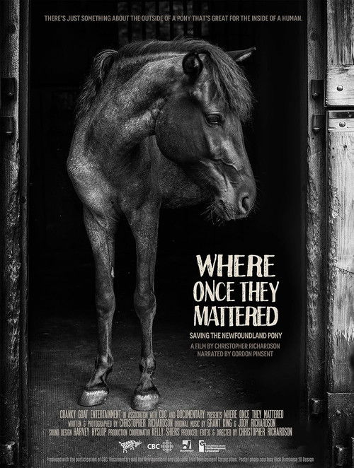 Where Once They Mattered (2015) poster