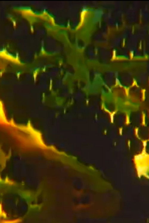 Conjuror's Box (2011) poster