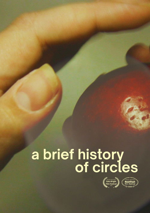 A Brief History of Circles (2024) poster