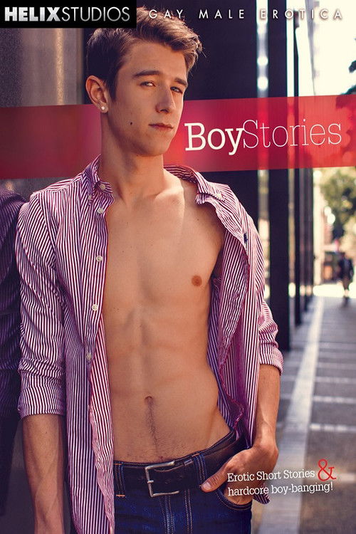 Boy Stories (2014) poster