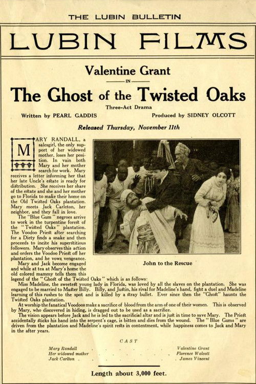 The Ghost of Twisted Oaks (1915) poster