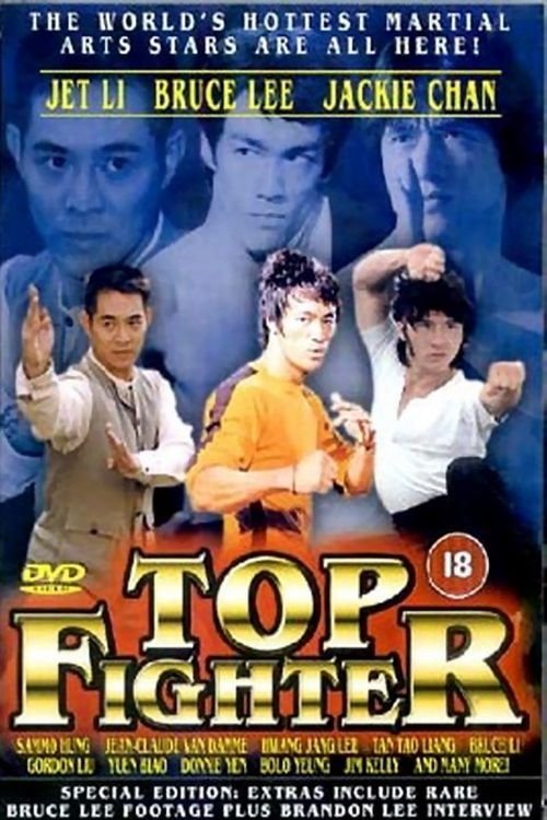 Top Fighter (1995) poster