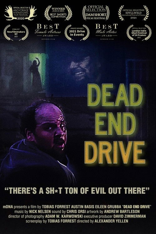 Dead End Drive (2020) poster
