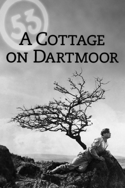 A Cottage on Dartmoor (1929) poster