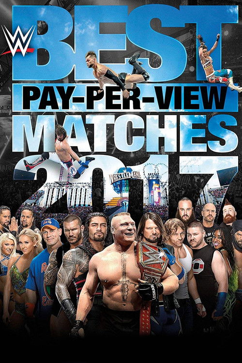 WWE Best Pay-Per-View Matches 2017 (2018) poster