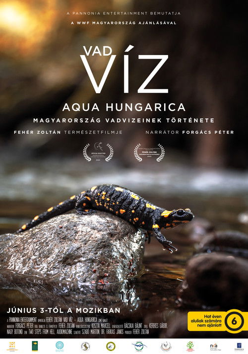 Where Rivers Run Wild: Aqua Hungarica (2021) poster