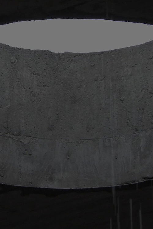 Duchamp Reality (2020) poster