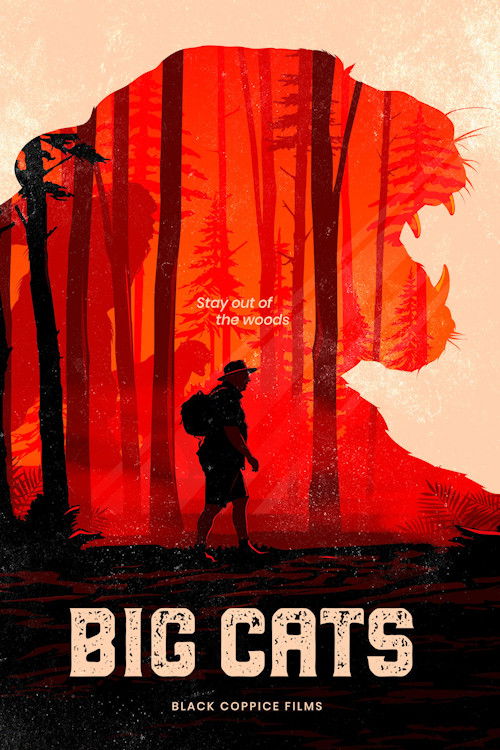 Big Cats (2024) poster
