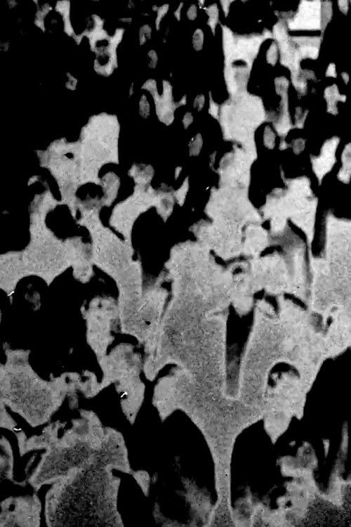 Potamkin (2017) poster