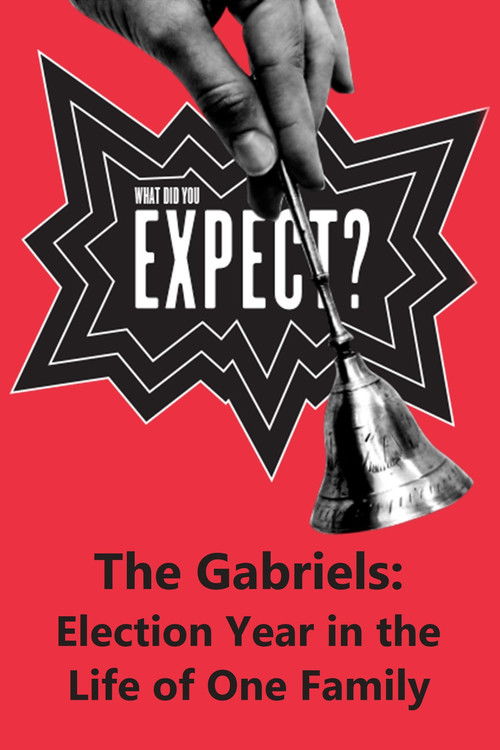 The Gabriels: Election Year in the Life of One Family, Play Two: What Did You Expect? (2017) poster