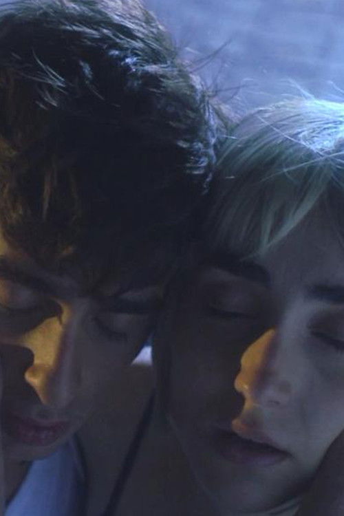 The Cities of My Youth (2012) poster