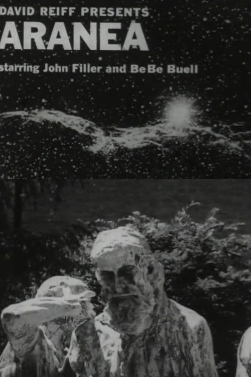 Aranea (1972) poster