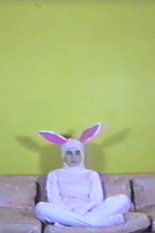 Caught in a Trap (2013) poster