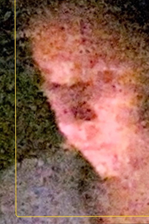 A Sentimental Science (2020) poster