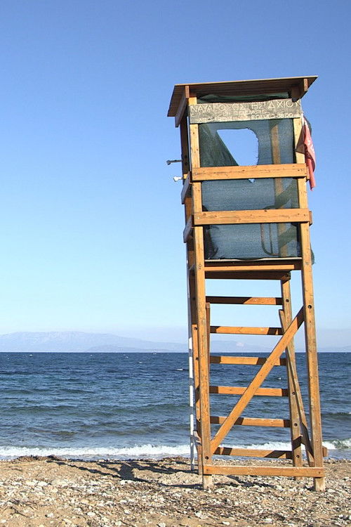 Visitor (2018) poster