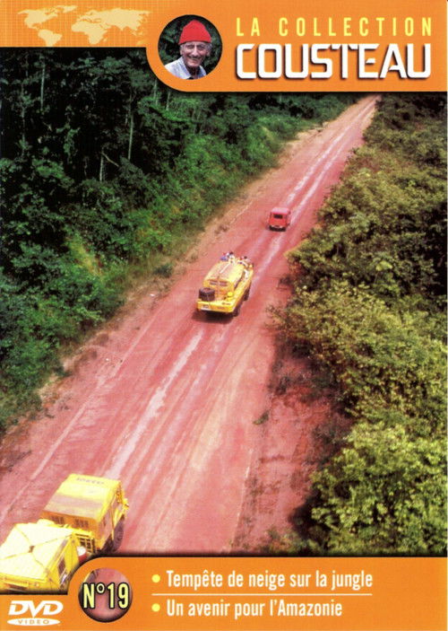 La collection Cousteau N°19 | Tempête de neige sur la jungle | Un avenir pour l'Amazonie (1984) poster