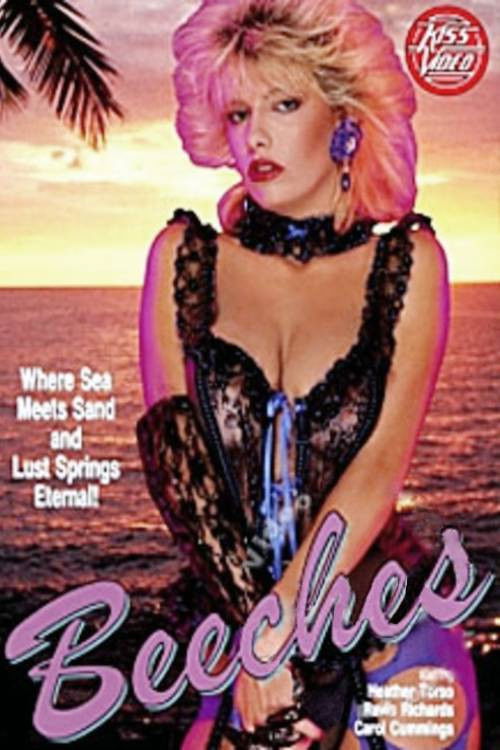 Beeches (1993) poster