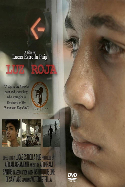 Luz Roja (2013) poster