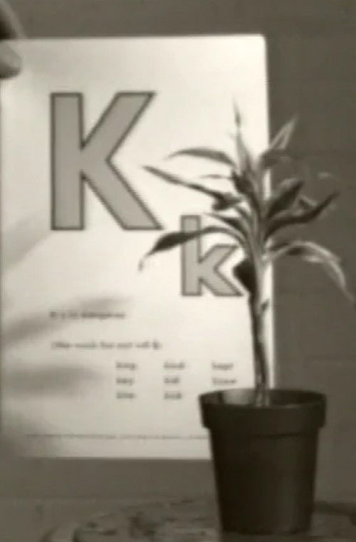 Teaching a Plant the Alphabet (1972) poster