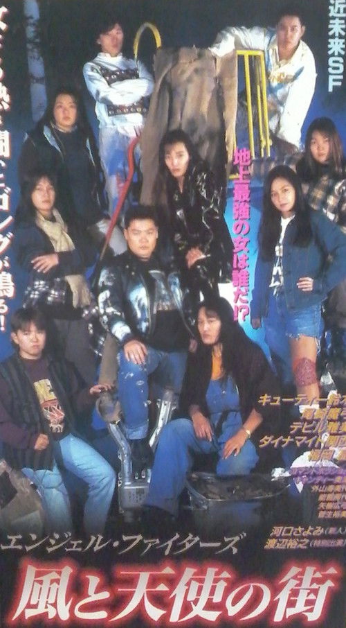 Angel Fighters (1995) poster