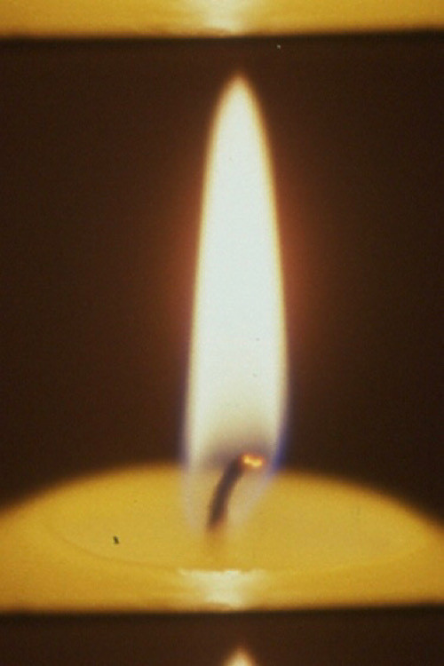 Echo Chamber (2021) poster