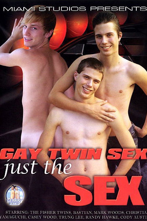 Gay Twin Sex: Just the Sex (2008) poster