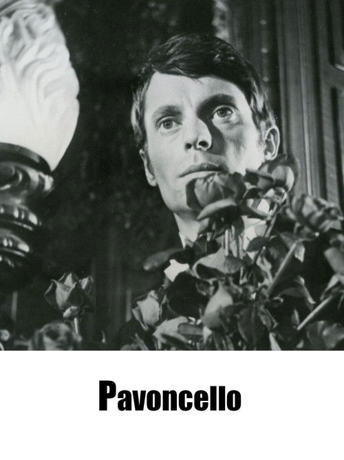 Pavoncello (1967) poster