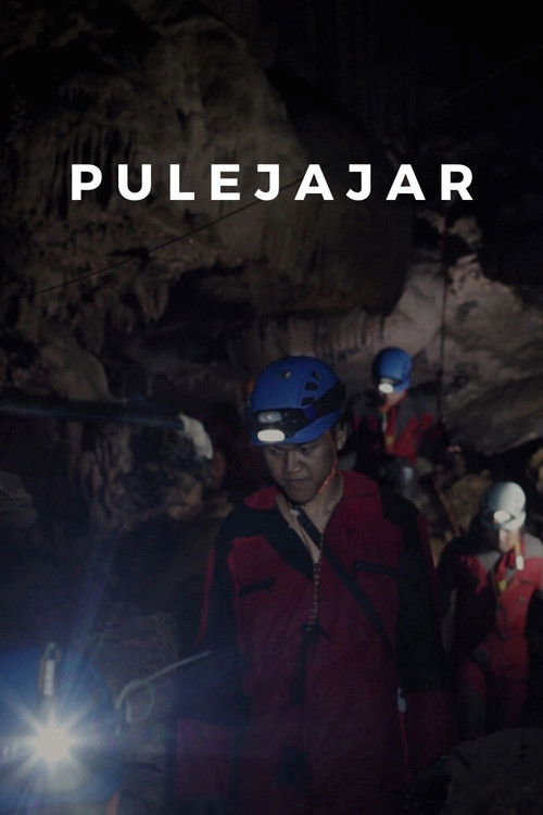Pulejajar (2020) poster