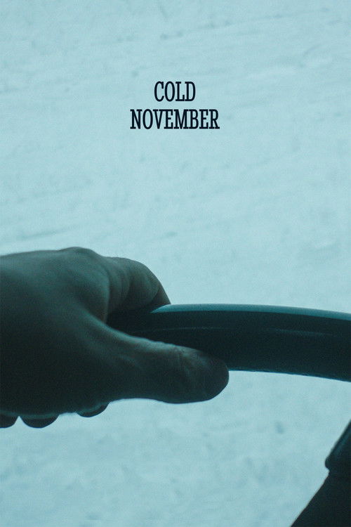 Cold November (2018) poster