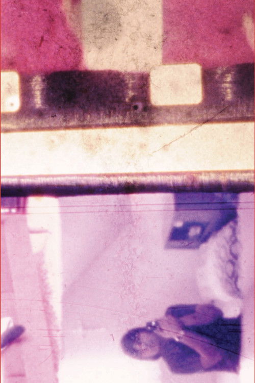 Extraits d’une famille (2015) poster